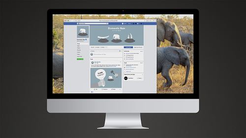 Mockup of a Domestic Ban Facebook page featuring a campaign banner and a call-to-action post encouraging users to share custom protest paddles using the hashtag #DOMESTICBAN.