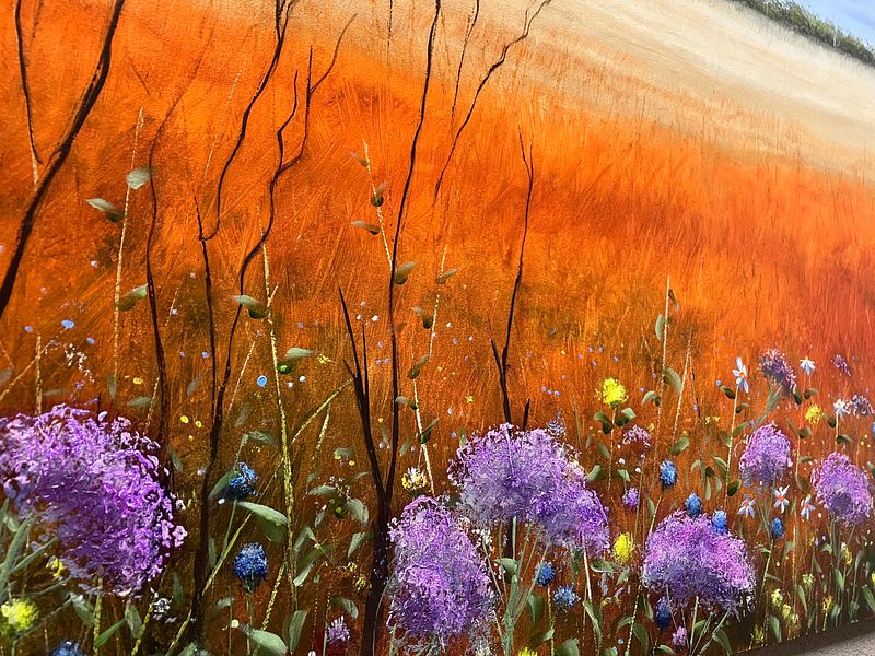 Australian Outback Wildflower Meadow