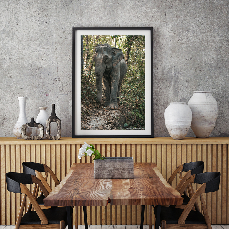 COLLECTION - GIANTS OF THE LAND VERTICAL - "One Step" - LIMITED EDITION 10 of 10