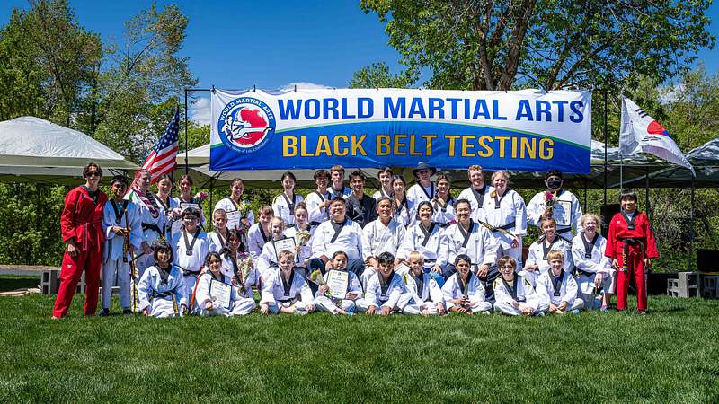World Martial Arts