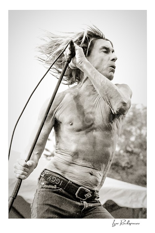 Vertical black and white image of Iggy Pop performing shirtless with a microphone stand and windblown hair in a raw live performance moment
