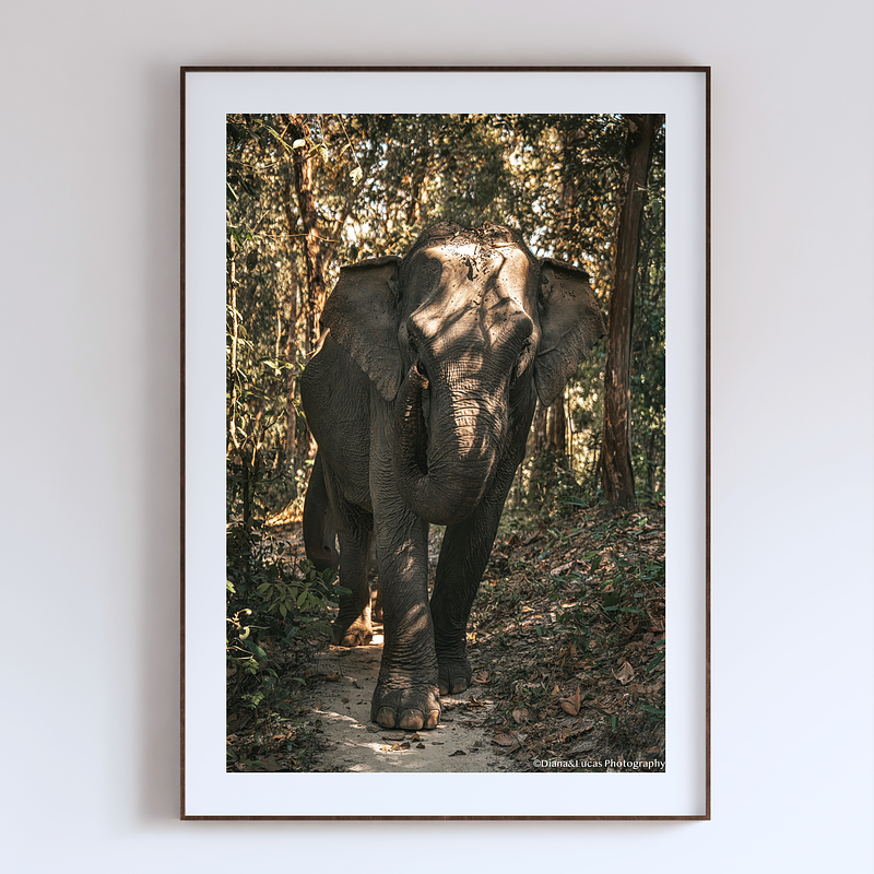 COLLECTION - GIANTS OF THE LAND VERTICAL -  "The Bright One" - LIMITED EDITION 10 of 10