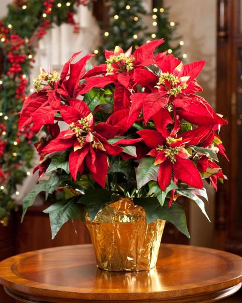 Jingle Bells, Jangled Nerves