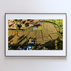 COLLECTION - FROM ABOVE HORIZONTAL - "The Shadow Fields" - LIMITED EDITION 10 of 10