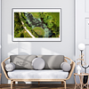 THE ONE - AERIAL PRINTS - "The Curve" - LIMITED EDITION 5 of 5