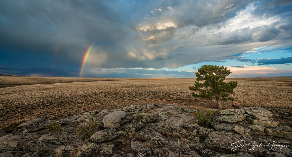 Summer Storm