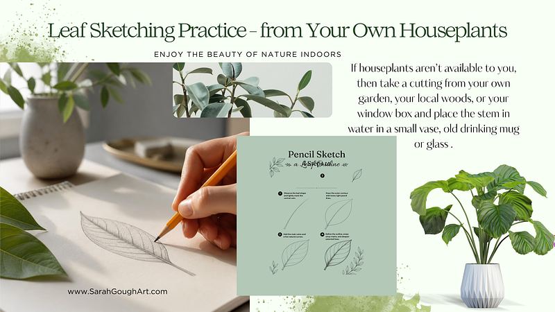 Sketching a Leaf