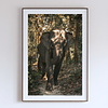 COLLECTION - GIANTS OF THE LAND VERTICAL -  "The Bright One" - LIMITED EDITION 10 of 10