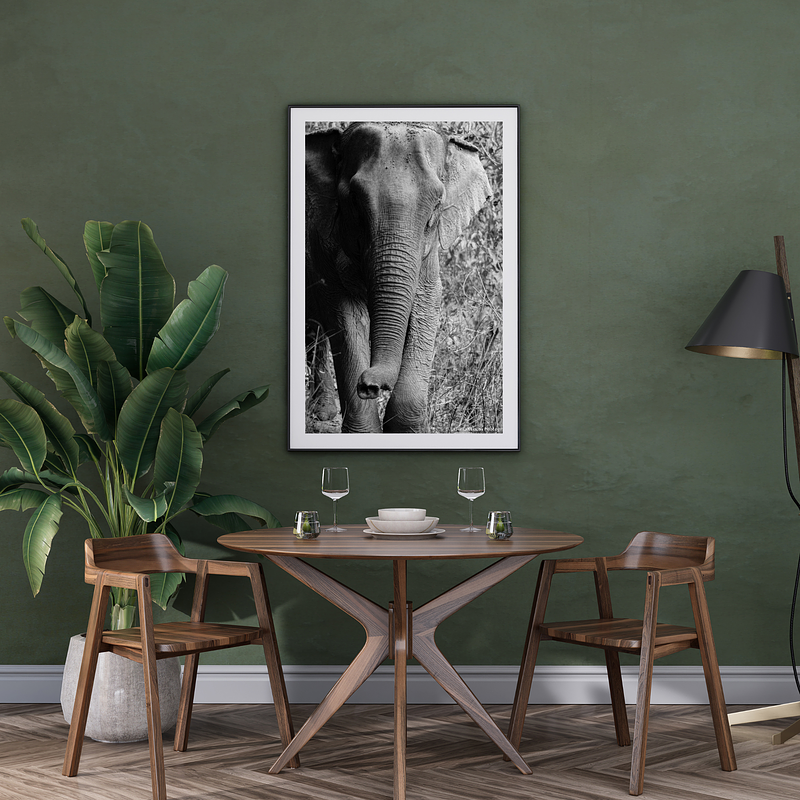 THE ONE - WILDLIFE & NATURE - "All the Way Up" - LIMITED EDITION 5 of 5