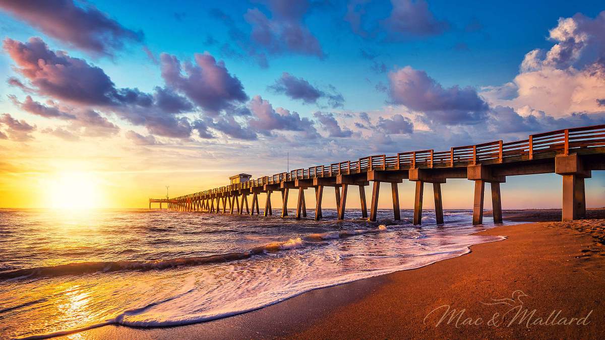 Stunning Venice Pier photography on durable aluminum metal print - beach house wall art