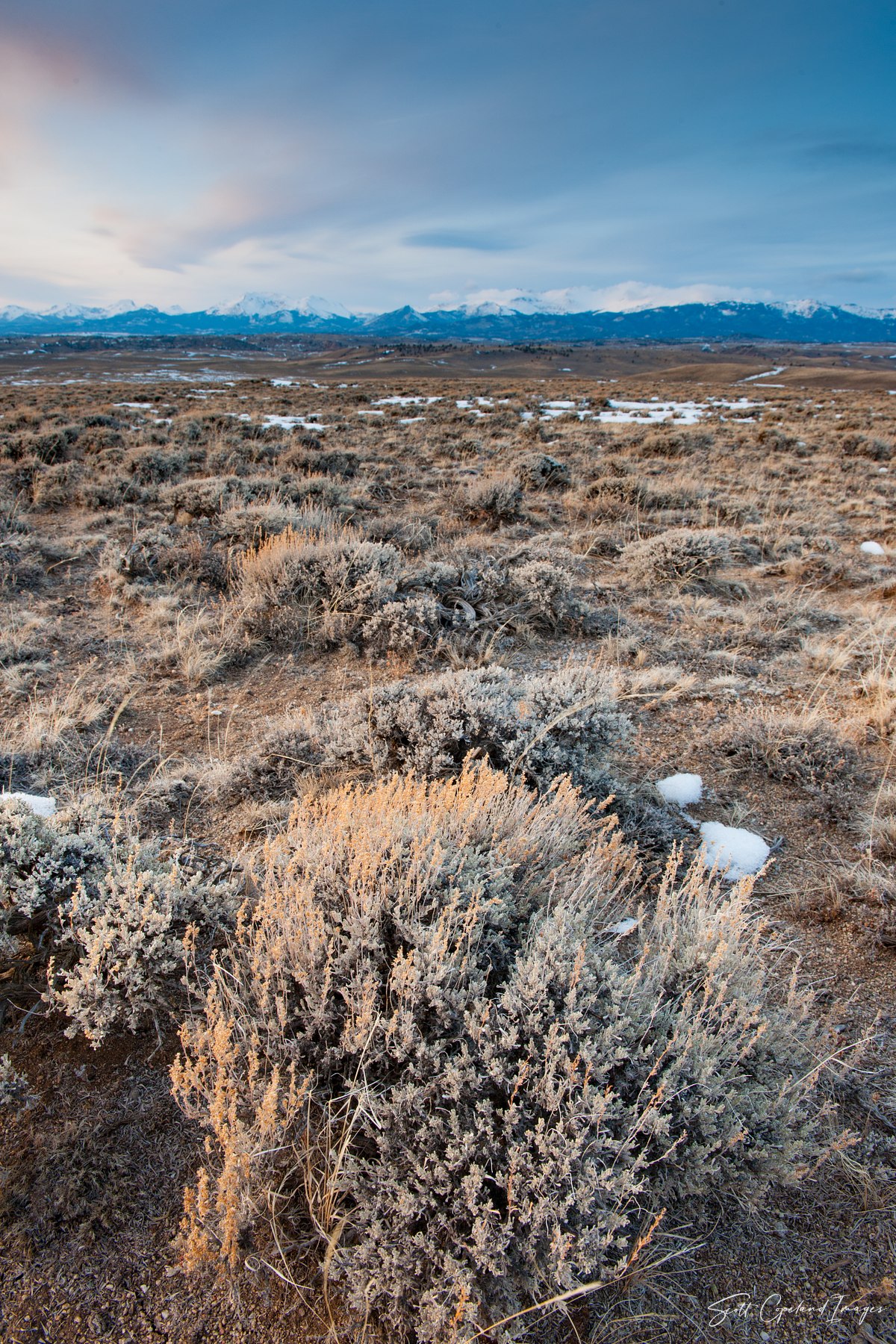 Wind-River-Sagebrush-Steppe