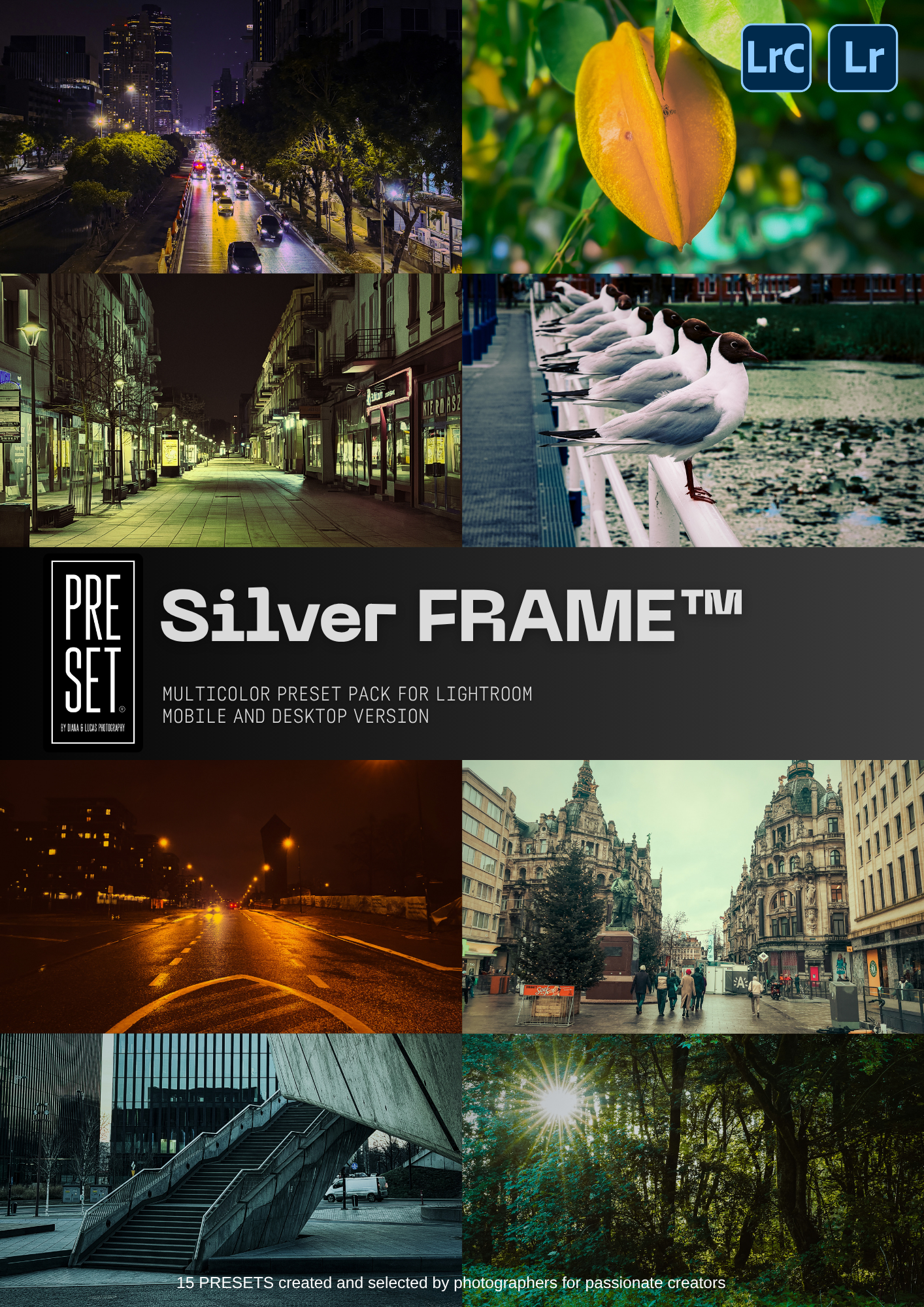 SILVER FRAME - LIGHTROOM PRESET PACK