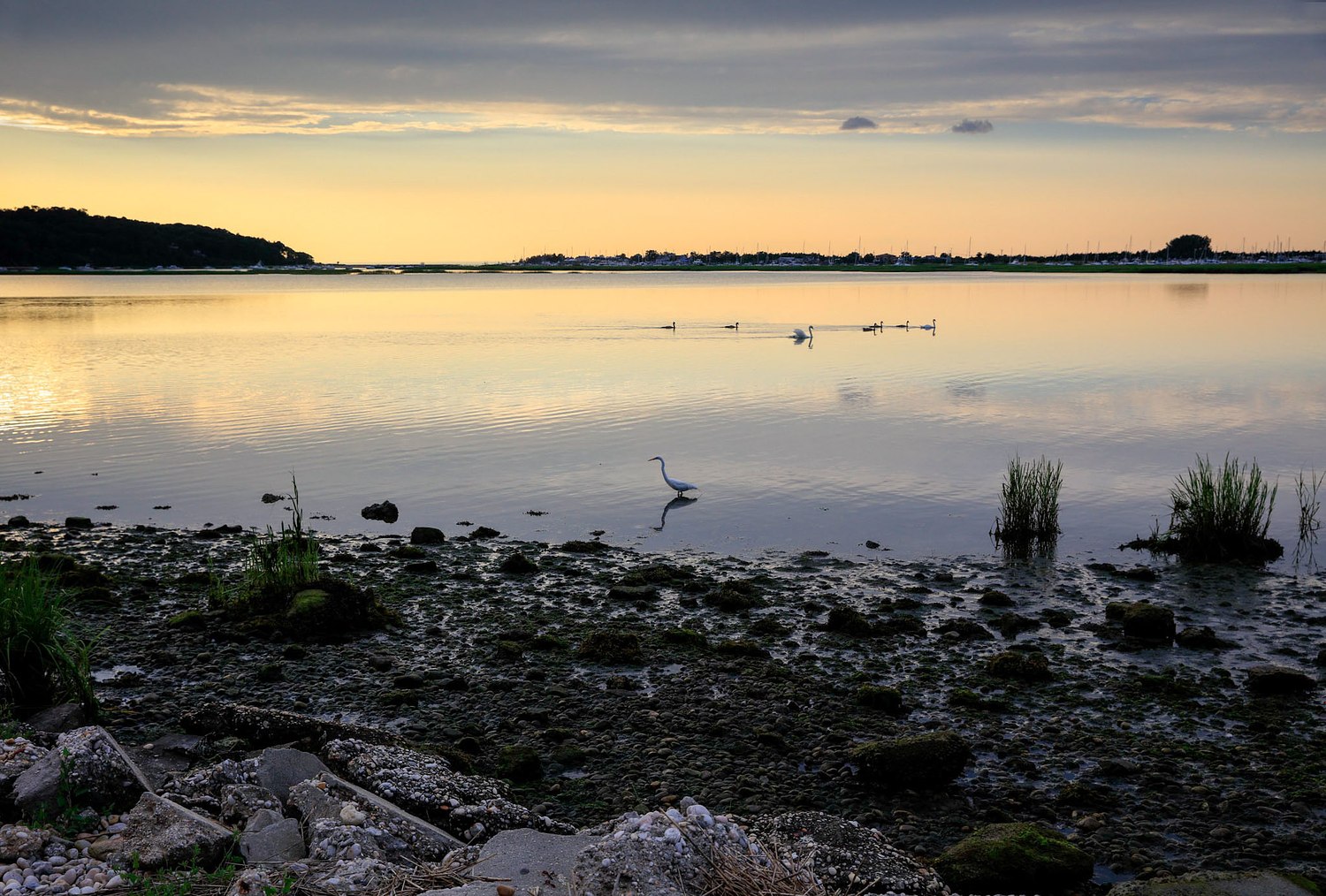 ALISON PERRY PHOTOGRAPHY