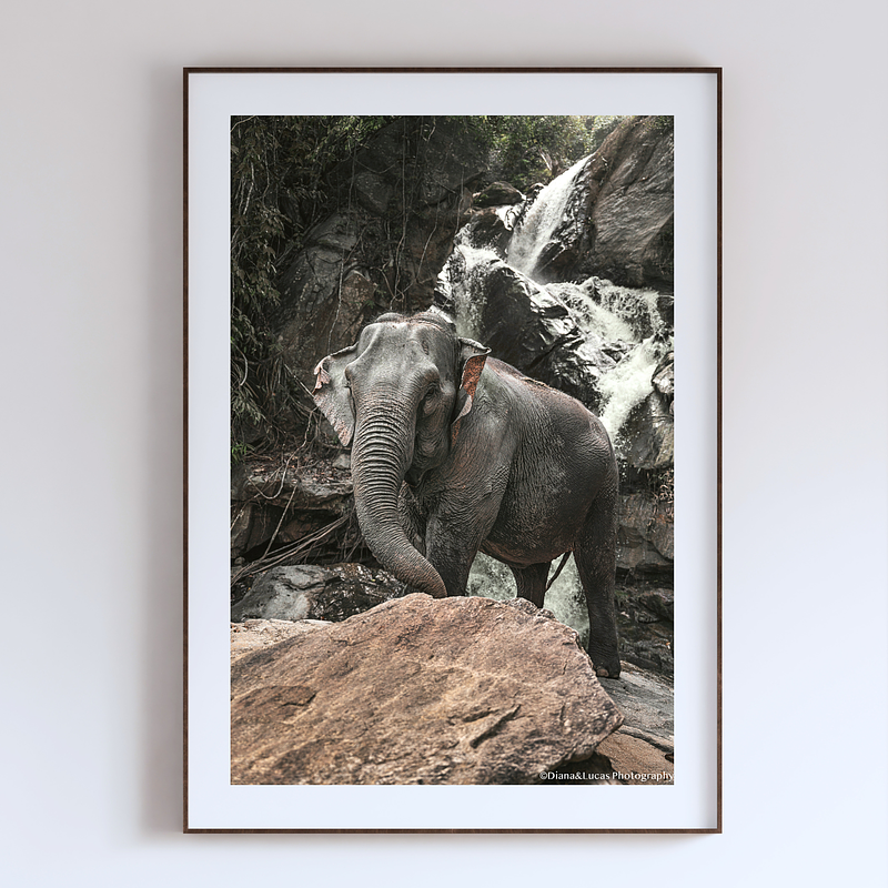 COLLECTION - GIANTS OF THE LAND VERTICAL - "Behind Her" - LIMITED EDITION 10 of 10