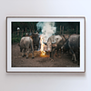 COLLECTION - GIANTS OF THE LAND HORIZONTAL - "Around the Fire" - LIMITED EDITION 10 of 10