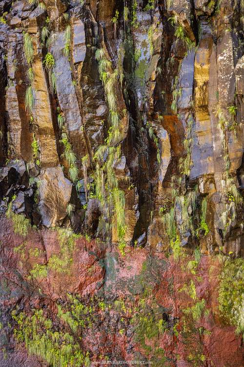 Detail am Risco Wasserfall