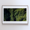 THE ONE - AERIAL PRINTS - "Crown Cover" - LIMITED EDITION 5 of 5