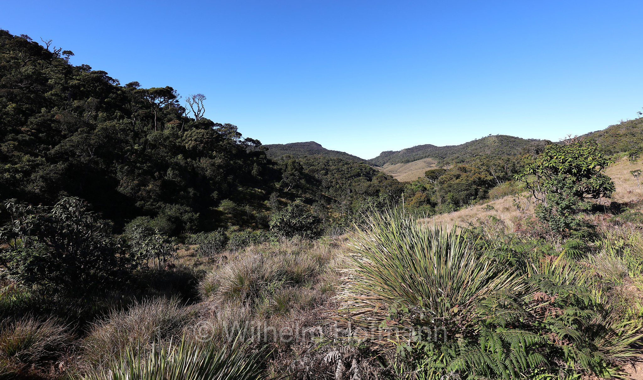 Horton Plains National Park, Horton-Plains-Nationalpark, parco nazionale Horton Plains, Sri Lanka