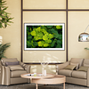 THE ONE - WILDLIFE & NATURE - "Golden Abutilon" - LIMITED EDITION 5 of 5