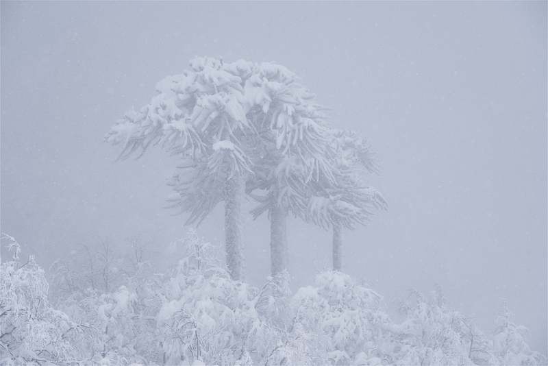 El 'Durée' del Invierno