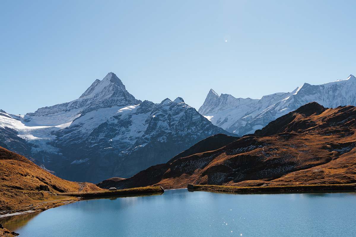 Leicht gekr&auml;uselter Bachalpsee in tiefem Blau mit Sonnenlichtreflexen, eingerahmt von goldbraunen Graslandzungen und schneebedeckten Gipfeln mit Gletschern unter wolkenlosem Himmel