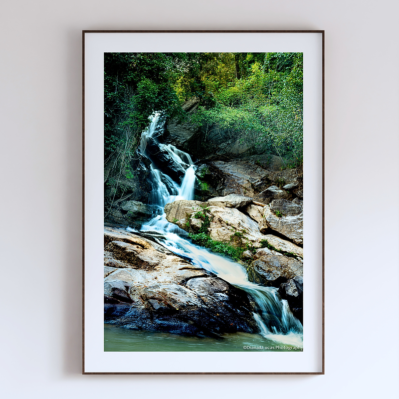 THE ONE - WILDLIFE & NATURE - "Over the Rocks" - LIMITED EDITION 5 of 5