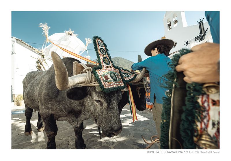 Romeria de Benamahoma y Cuevas