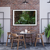 COLLECTION - GIANTS OF THE LAND HORIZONTAL - "Frond and Bark" - LIMITED COLLECTION 10 of 10