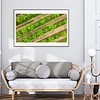 THE ONE - AERIAL PRINTS - "In The Rows" - LIMITED EDITION 5 of 5