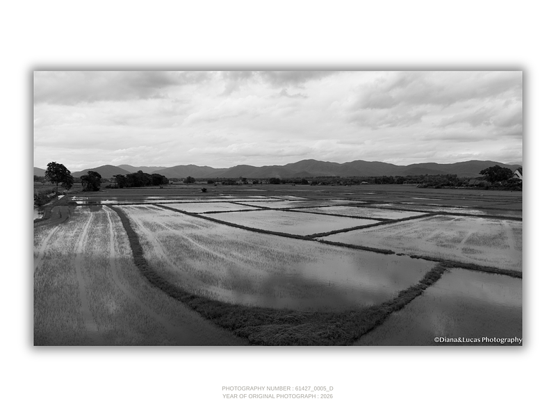 THE ONE - AERIAL PRINTS - "Horizon Scale" - LIMITED EDITION 5 of 5