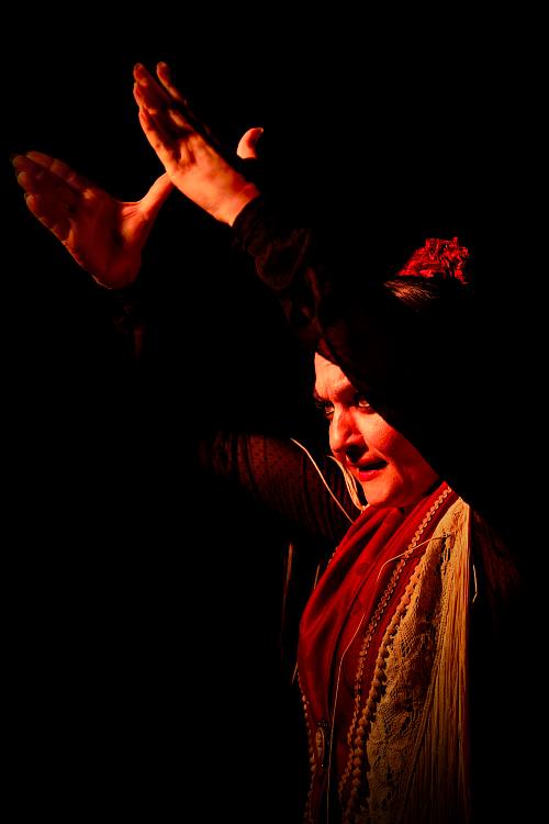 Danseuse de flamenco en mouvement