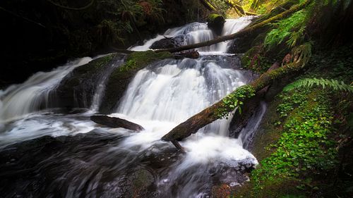 Waterfall, stream, river, creek, flowing water, long exposure, nature, landscape, travel, hiking, adventure, escape, light, rocks, moss, ferns, forest, rain, park, Washington, port Ludlow, pacific, northwest, light, dark, shadow, clover, perspective