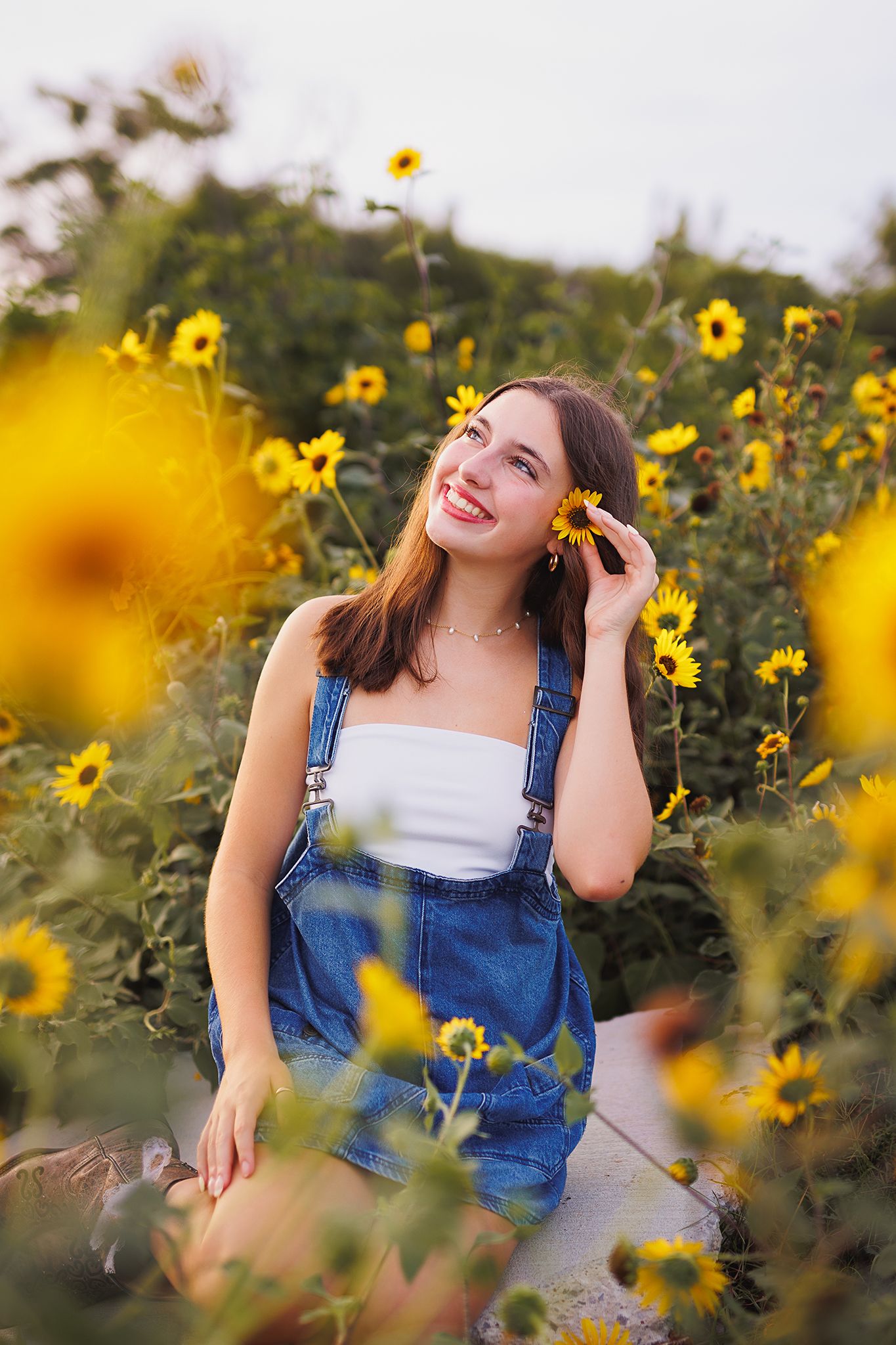 Mandy Ashworth Photography