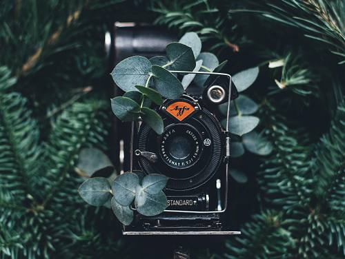 Green Story