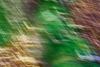 Abstracte natuurfotografie (4 juli 2026)