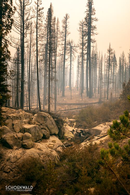2020 Creek Fire