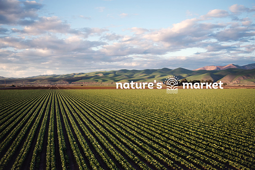 Nature's Market