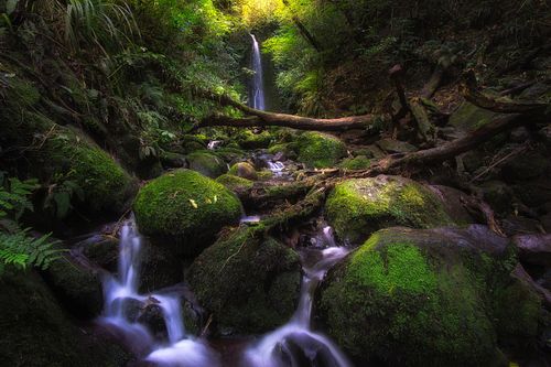 Waterfall, stream, river, creek, flowing water, long exposure, nature, landscape, travel, hiking, adventure, escape, light, rocks, moss, ferns, forest, Nicols, Dunedin, New Zealand, South Island, Otago