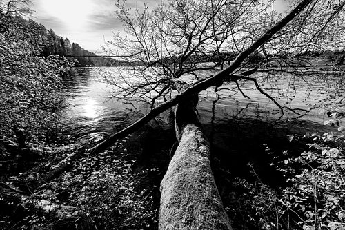 Am Wohlensee