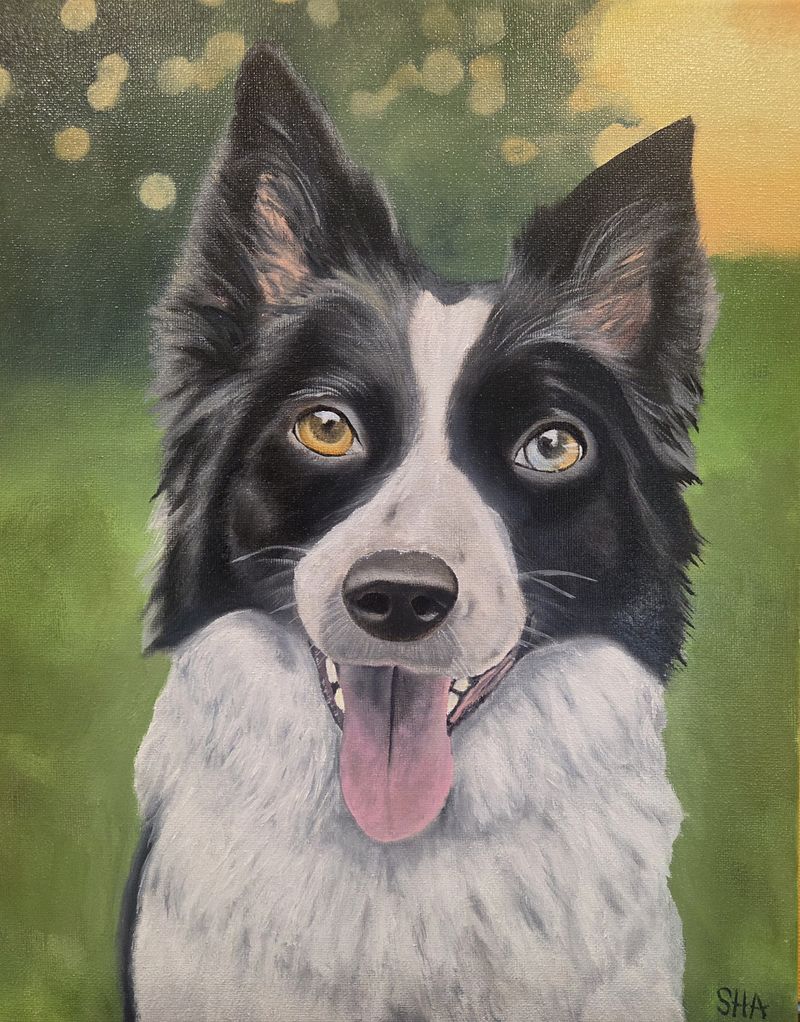 PET PORTRAITS