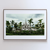 THE ONE - AERIAL PRINTS - "Between The Palms" - LIMITED EDITION 5 of 5