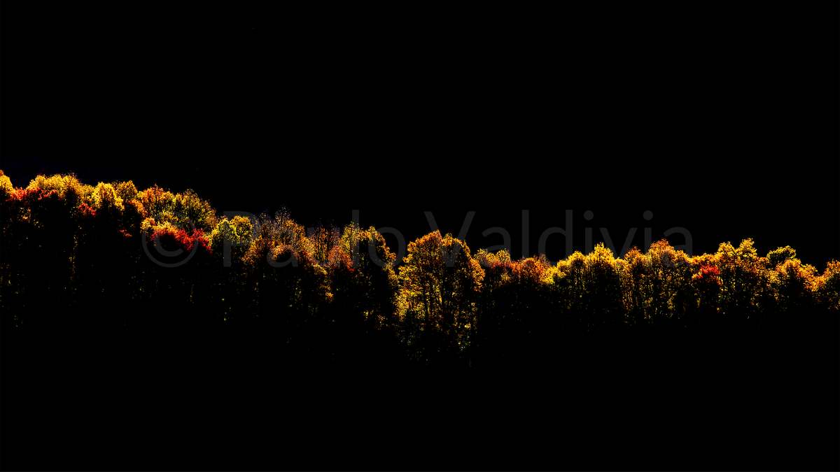 _DSF0271_2026_P3