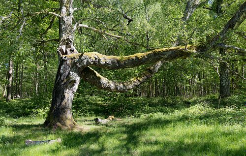 Im Nationalpark Jomfruland