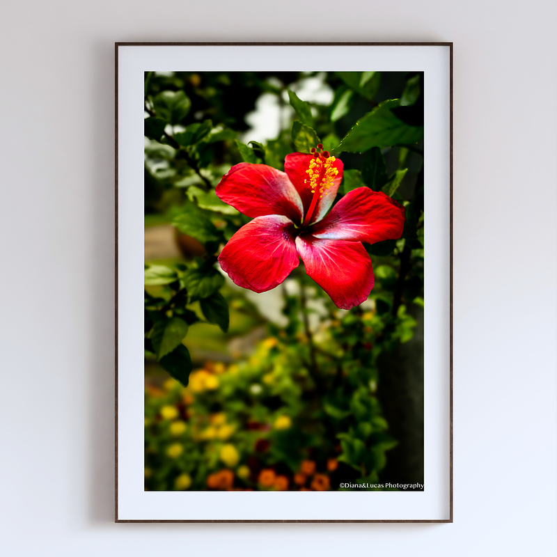 THE ONE - WILDLIFE & NATURE - "Open Flame" - LIMITED EDITION 5 of 5