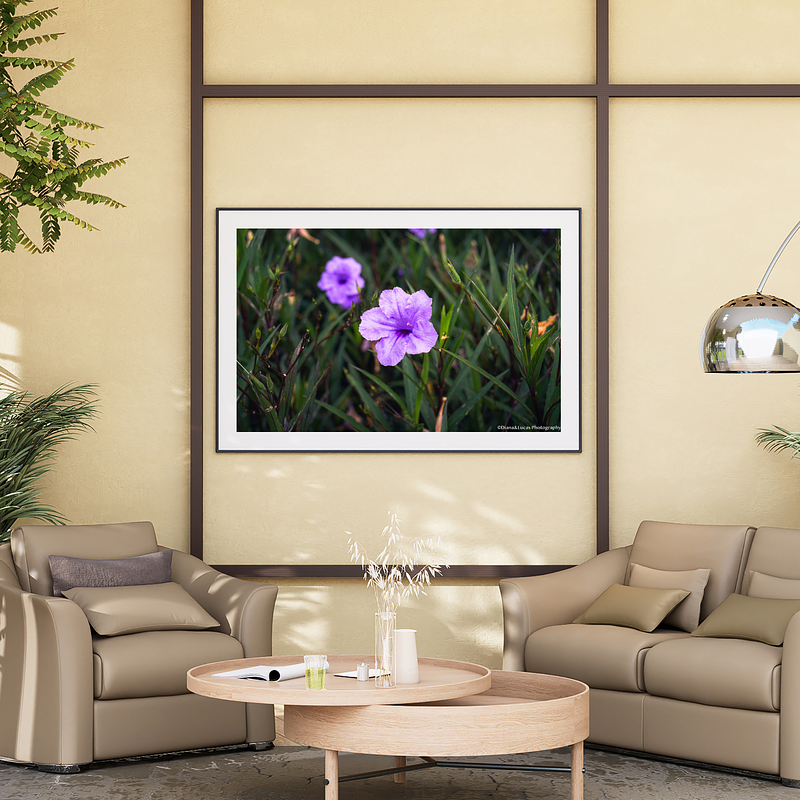 THE ONE - WILDLIFE & NATURE - "Amethyst Bloom" - LIMITED EDITION 5 of 5