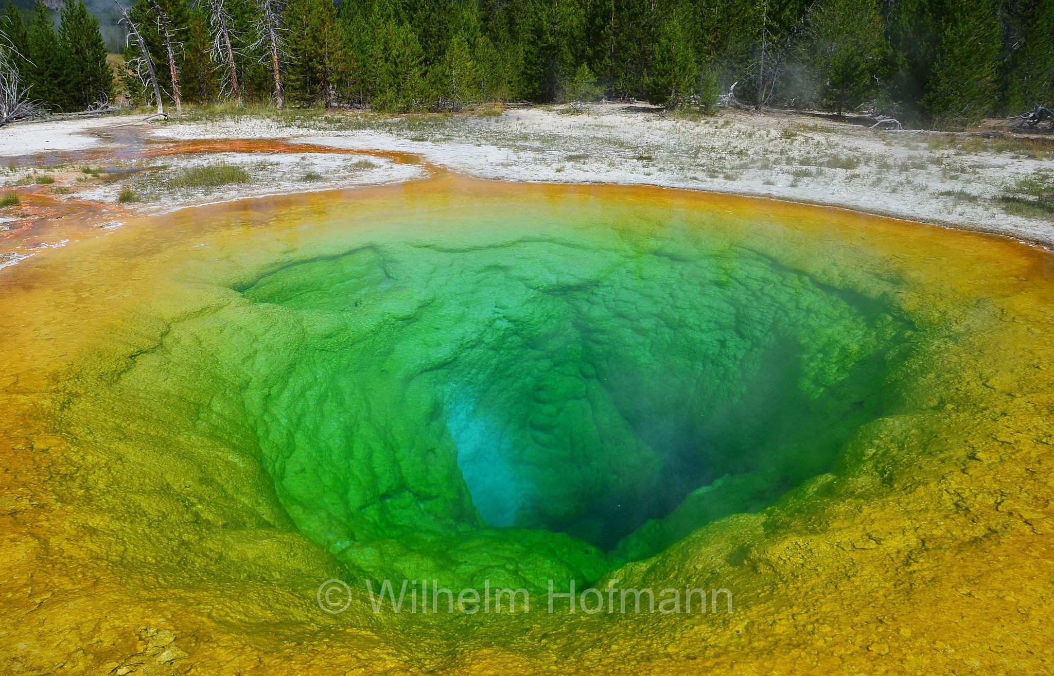 Morning Glory Pool, Upper Geyser Basin, Yellowstone National Park, Yellowstone-Nationalpark﻿, parco nazionale di Yellowstone, Wyoming, USA