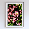 THE ONE - WILDLIFE & NATURE - "Crowded Beauty" - LIMITED EDITION 5 of 5