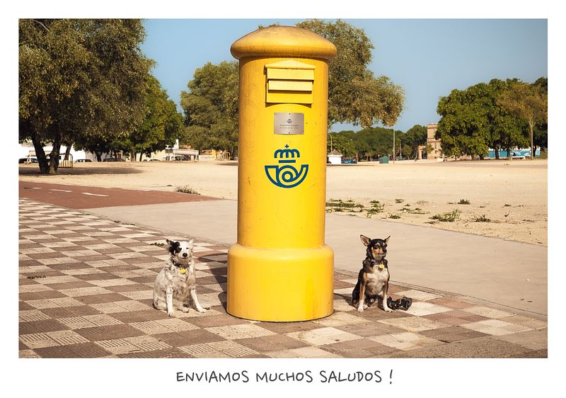 Mascotas y otras criaturas