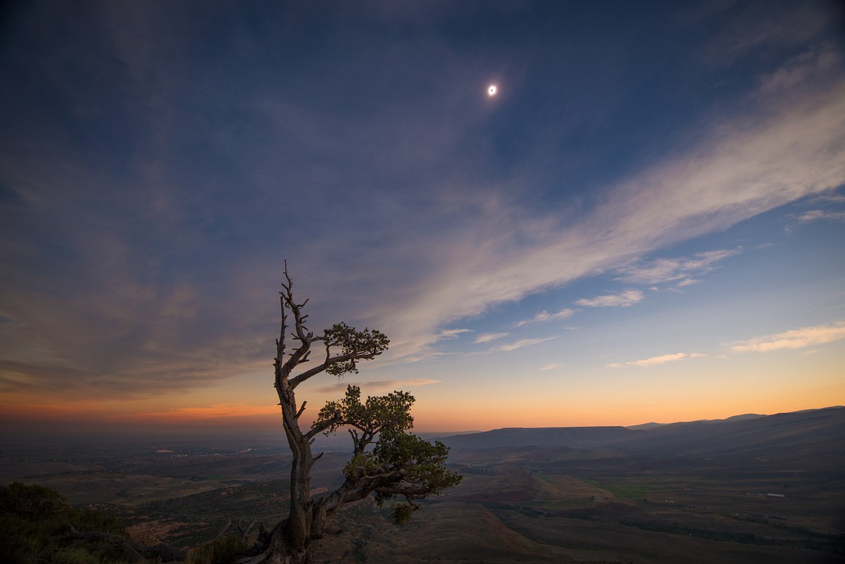 Lander Totality