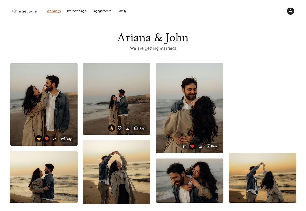Pixpa online proofing gallery &mdash; desktop preview